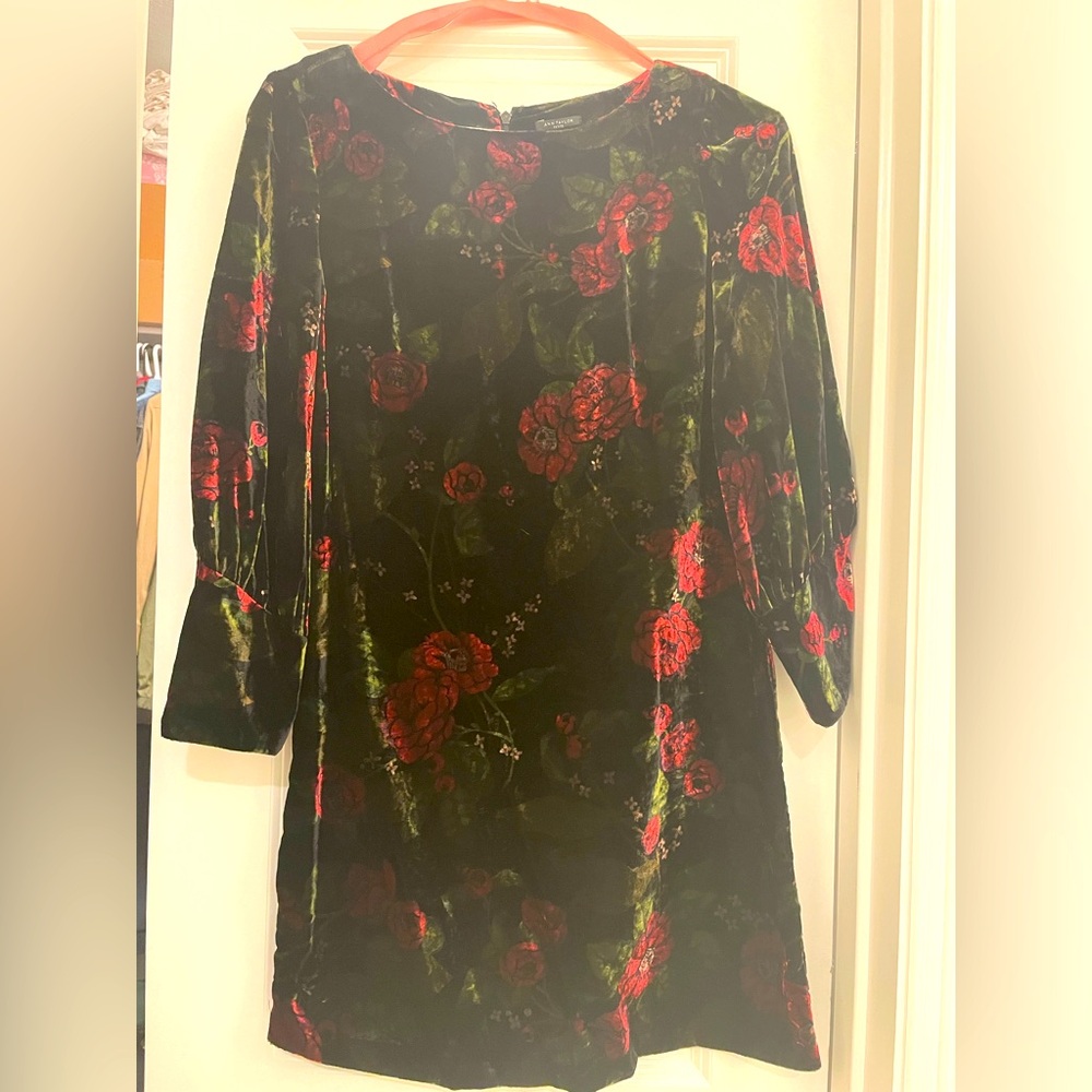 Ann Taylor Velvet black dress with Roses